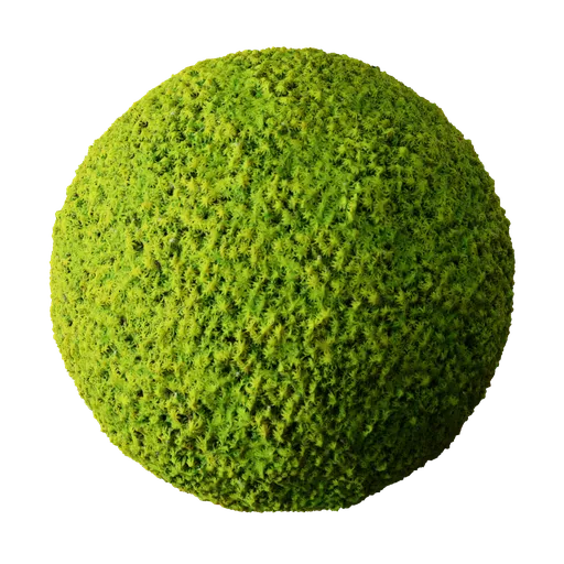 High-resolution green moss PBR texture for 3D modeling in Blender, suitable for natural scenes and organic surfaces.