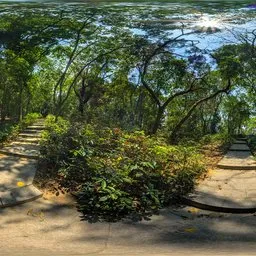 Daytime tree path
