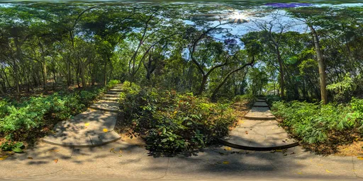 Daytime tree path