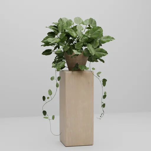 Tropical Foliage Basket Planter