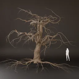 SJ-Tree Dry With Exposed Branches