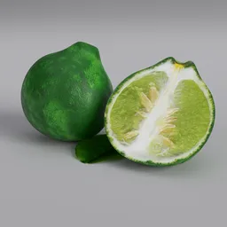 "Highly-detailed Keffir lime 3D model with leaf, suitable for Blender 3D. Handmade with photorealistic Octane rendering, inspired by the works of Leon Wyczółkowski. Includes complete detailed body, untextured, and decimate mod for optimal performance."