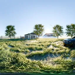 Sunny Afternoon in the Village