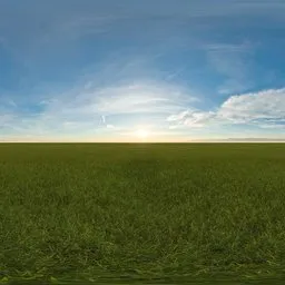 Green grass cloudy blue sky pure sky