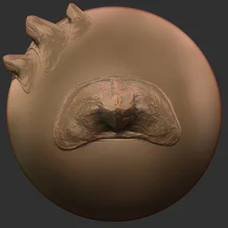 ER_Dragon Brush Venom Spikes