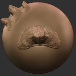 ER_Dragon Brush Venom Spikes