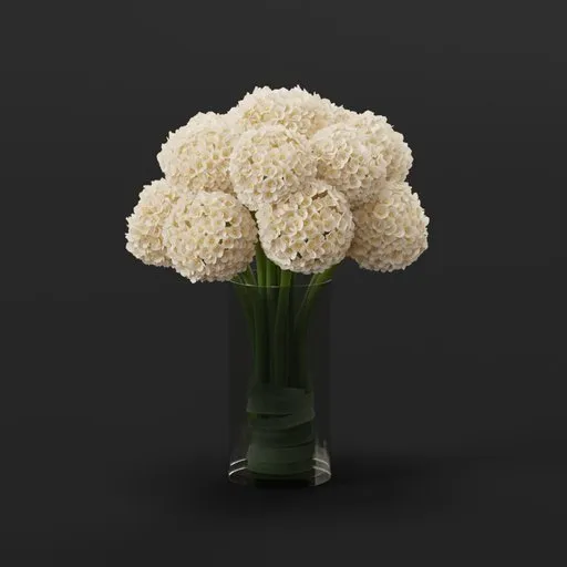 White Hydrangea
