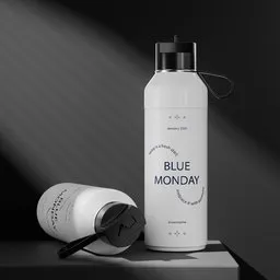 Insulated Water Bottle