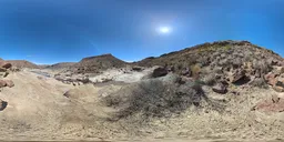 Bluesky Mountain Dry Grass