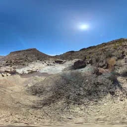 Bluesky Mountain Dry Grass