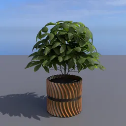 Large Flower Pot with plant