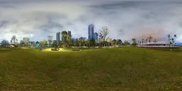 Green grass at night