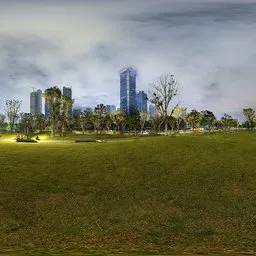 Green grass at night