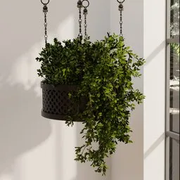 Cascading Green Hanging Planter