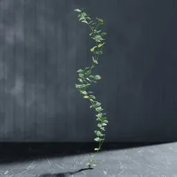"Artificial garland Caladium white 3D model for Blender 3D, perfect for indoor nature scenes. Realistic render with detailed leaves and ivy vines. Created using Bagapie addon for advanced geometry nodes."