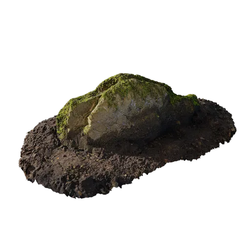 Mossy Rock