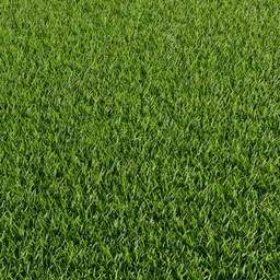 Grass (lawn) procedural