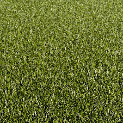 Grass (lawn) procedural