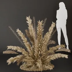 SJ- Pampas Minimal Chic Bush