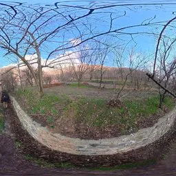 Woodland Mountain Spring Forest