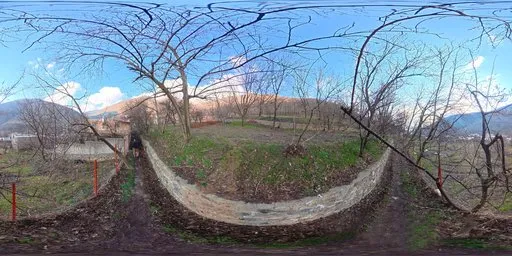 Woodland Mountain Spring Forest