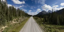 Dirt Road in Canadian Nature