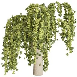 vase