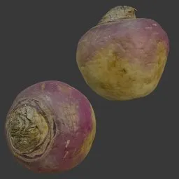 Turnip scanned