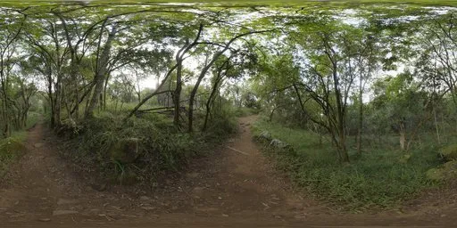 Monk's forest