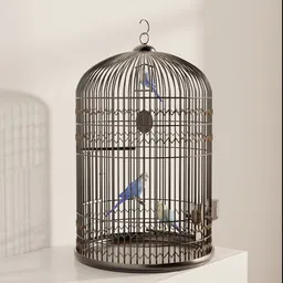 Trio of Colorful Budgies in Cage