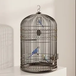 Trio of Colorful Budgies in Cage