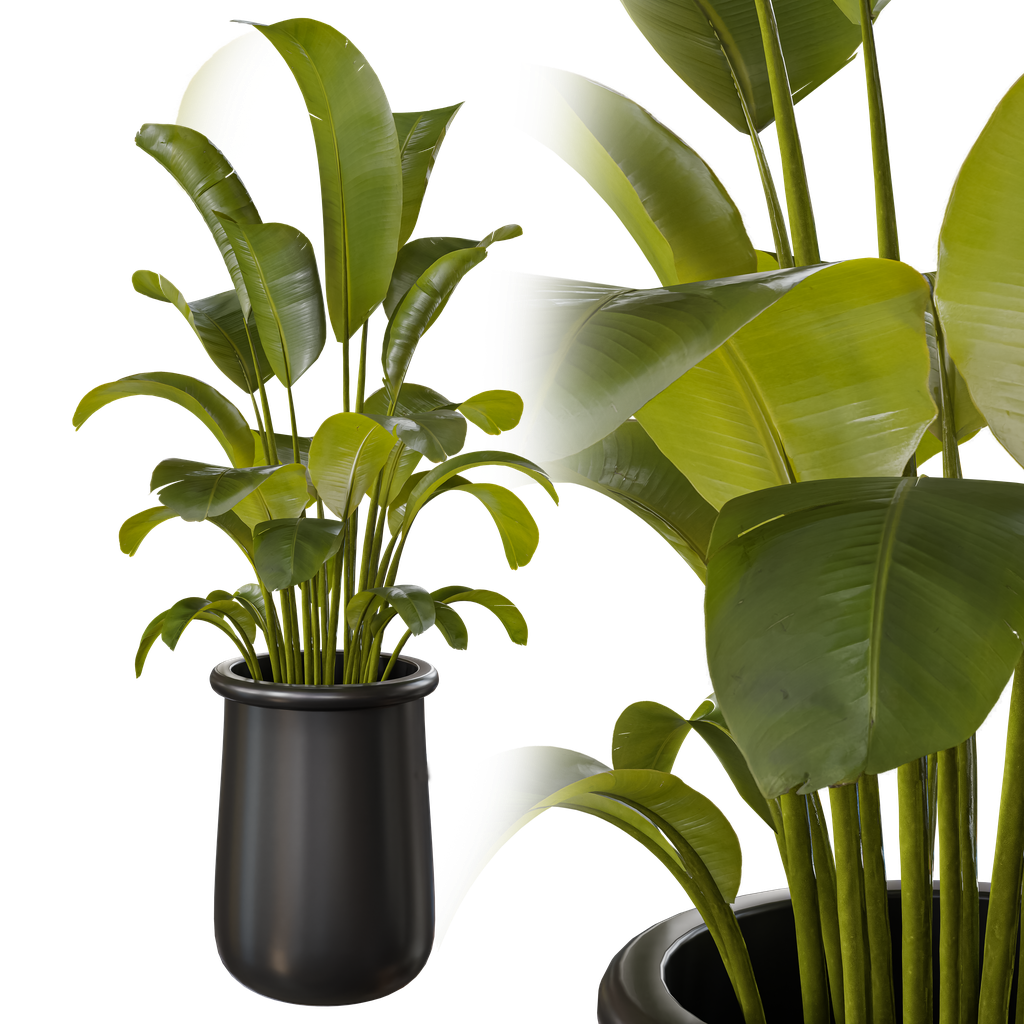 Indoor plant A | Indoor Plants models | BlenderKit