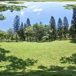 A cool place in the shade 16k