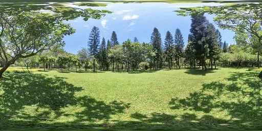 A cool place in the shade 16k