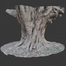 Ancient Tree Trunk