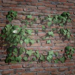 Realistic 3D ivy model for Blender, high-quality textures, suitable for virtual environments and game assets.