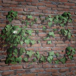 Ivy Creeper Tile 1M 02 01