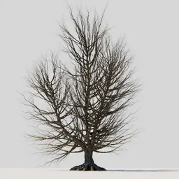 Detailed 3D model of a leafless tree with intricate roots, suitable for Blender graphics projects.