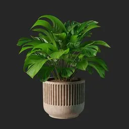 Realistic 3D monstera plant in wooden pot with optimized polygons and natural lighting, perfect for Blender indoor scenes.