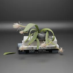 Minimal Flower Plant