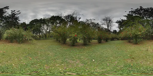 Cloudy Green HDR