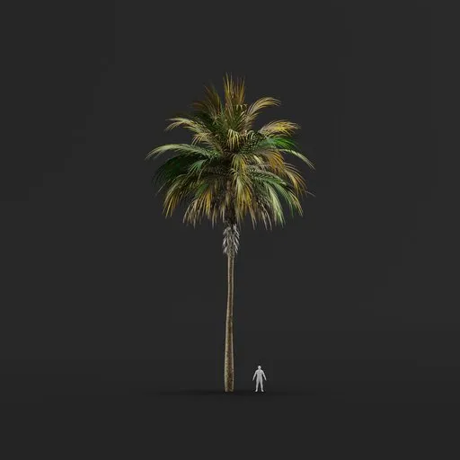 Palm Tree (Autumn) - Tall Thick Straight