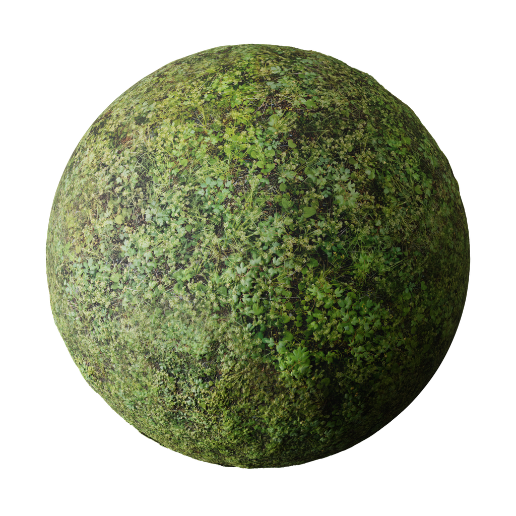 BlenderKit | Download The FREE Grass Clovers Material