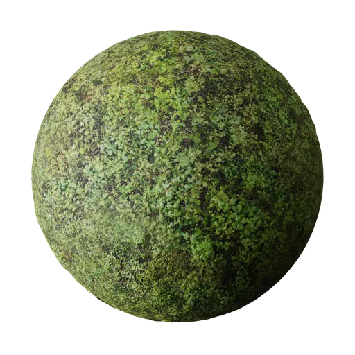 High-resolution Grass Clovers Blender 3D material, PBR ready with multiple tweaking options for non-repetitive variations.