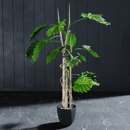"Artificial Monstera 120 cm 3D model for Blender 3D. Nature indoor category. Rendered in Lumion Pro with a long trunk holding a wand and stylized as a 3D render. Inspired by David Budd. Modify the plant easily with linked copy objects. Find the real product on HK-Green.eu."