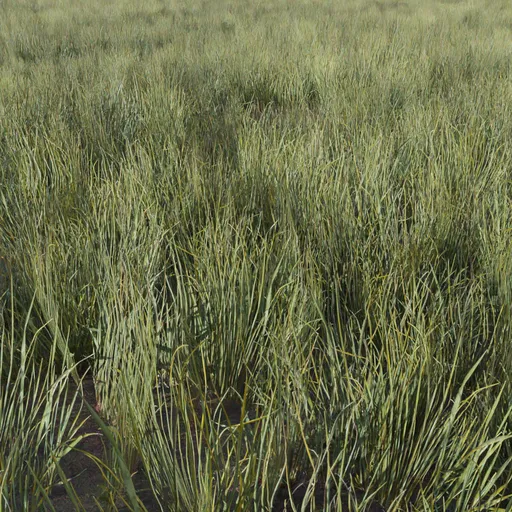 Game-ready 3D grass model with realistic textures for outdoor scenes, compatible with Blender.