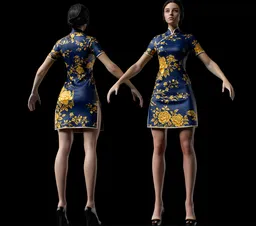 Chinese Female Qipao Dress