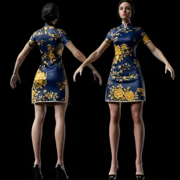 Chinese Female Qipao Dress