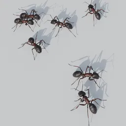 Ants Procedural Generator