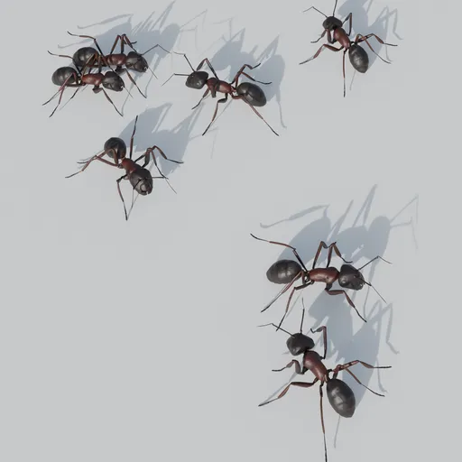 Ants Procedural Generator
